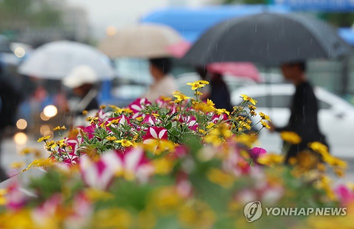 서울 종로구 세종로사거리에 심어진 화단 뒤로 우산을 쓴 시민이 길을 지나고 있다.연합뉴스