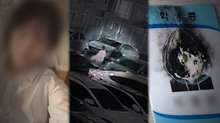 SBS 제공