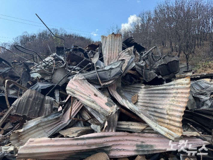 의성에서 시작된 산불로 인해 안동의 한 마을이 폐허가 됐다.이우섭 기자