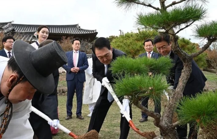 병산서원 <b>윤석열 기념식수</b> 식재 '무허가'…비석 사라져 관리 부실 비판...