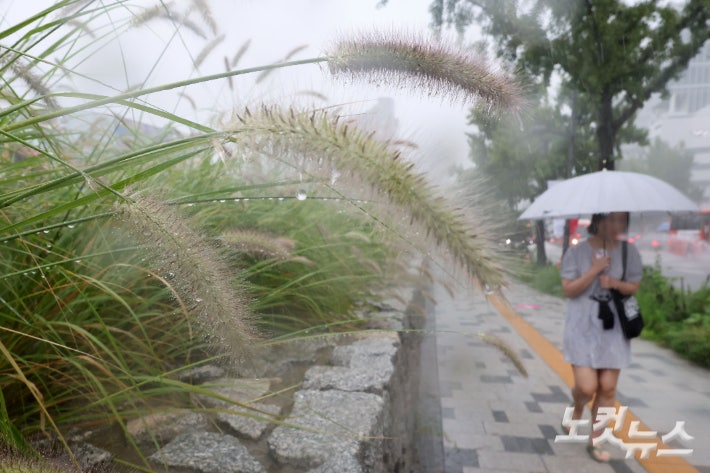 일요일 <b>전국</b>에 <b>가을비</b>…수도권 등 시간당 20