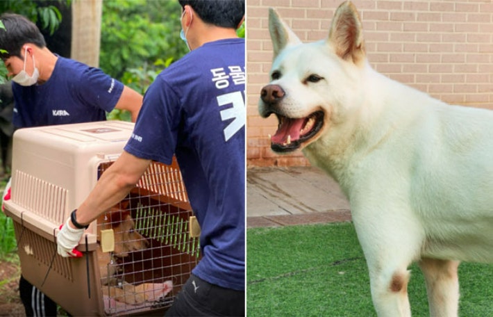 다시 미소를 되찾은 돌산.카라 제공