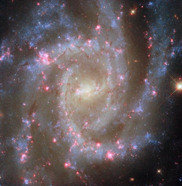 허블 우주망원경이 관측한 나선은하 NGC 2835의 모습. ESA/Hubble &amp; NASA