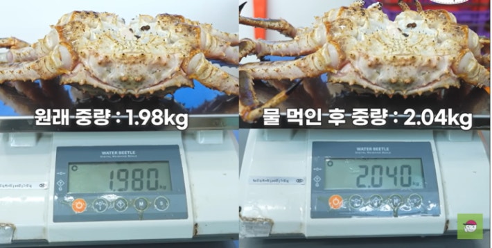 유튜브 입질의추억TV 캡처