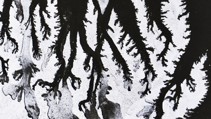 강추위에 8일 경기도 화성시 우정읍 갯벌이 얼어있다.연합뉴스