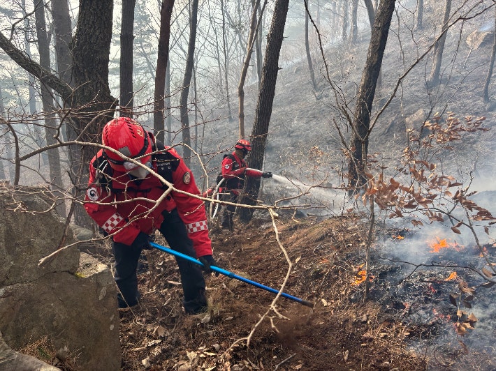 산림청 산불재난특수진화대원 산불 진화. 서부지방산림청 제공 