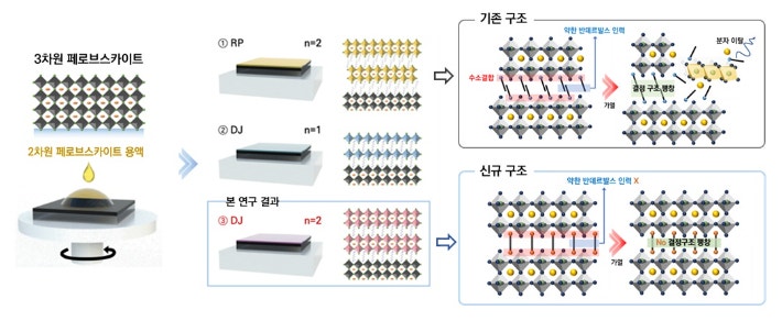 구조 형성 전략에 대한 모식도와 구조 변화 모식도.KAIST 제공