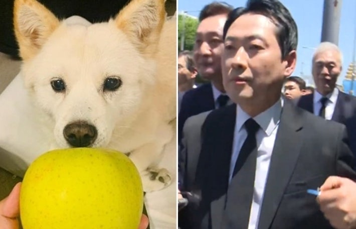 윤석열 개사과와 닮은 장동혁의 '5·18 배지'[기자수첩]