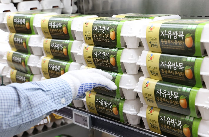 치솟는 달걀값…대형마트 '미국산' 달걀 판매 나서