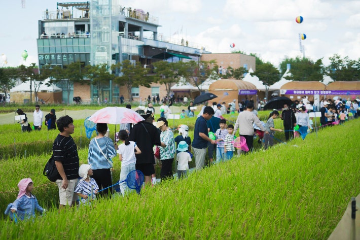 <b>김제 지평선축제</b> 대규모 <b>식중독</b>…유증상자 282명 발생