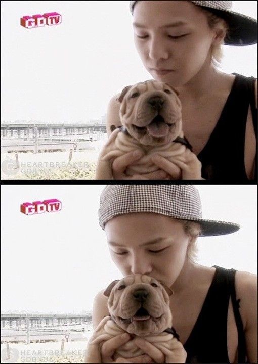 원본 이미지