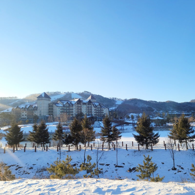 檢 ‘<b>알펜시아</b> 리조트 <b>입찰 비리</b>’ <b>의혹</b> 최문순·KH그룹 등 전방위 압수...