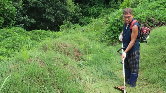 [단독] "얼굴도 모르는 조상님 묘 11기 벌초…자식들한테는 못 시키죠” [2023 파묘 리포트②] | 인스티즈
