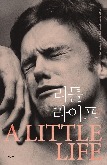 ‘Little Life 1’ cover. Courtesy of the publisher
