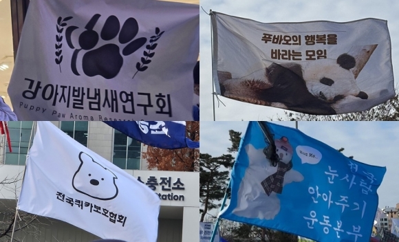7일 서울 여의도 등 전국의 집회 현장에서 발견된 재치있는 깃발들. ‘강아지 발냄새 연구회’, ‘푸바오의 행복을 바라는 모임’, ‘전국쿼카보호협회’, ‘눈사람 안아주기 운동본부’ 등 엄중한 시국과 거리를 둔 채 동물