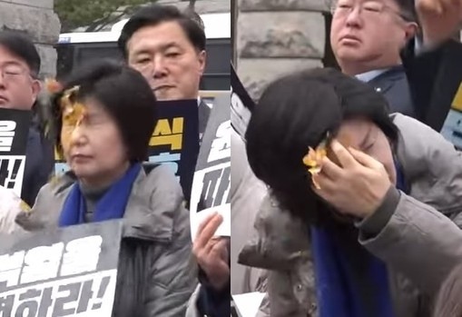 “尹 파면하라” 민주당 <b>의원</b> 얼굴에 ‘<b>계란 투척</b>’