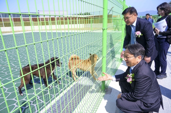 지난달 24일 광주시 북구 본촌동‘광주시 동물보호센터‘개소식에 참석한 강기정 광주시장이 유기견을 살펴보고 있다.광주광역시 제공