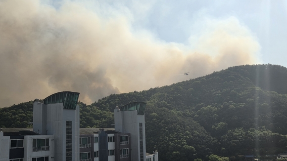 28일 대구 북구 함지산에서 발생한 산불로 연기가 퍼지고 있다.독자 제공