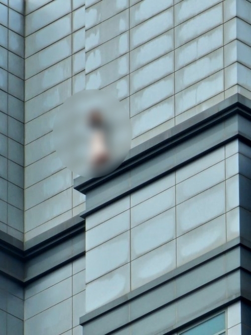 서울 강남구 건물 옥상에서 한 여성이 투신을 시도하다 구조됐다.엑스(X) 캡처