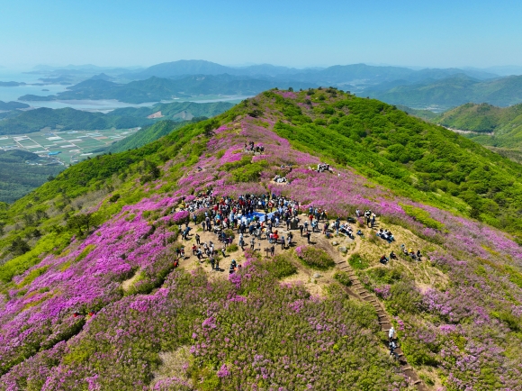 5만여명의 발길을 이끈‘일림산 철쭉문화행사’에서 관광객들이 산 능선을 따라 움직이고 있다.