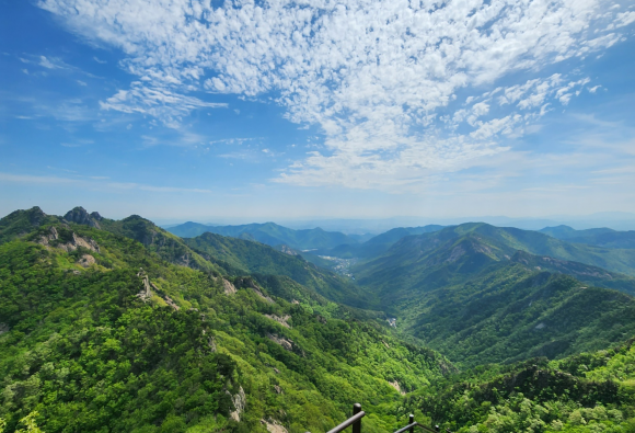 충남 계룡산 풍경.