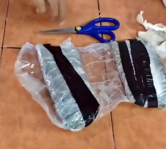 9일(현지시간) 남미 코스타리카 법무부는 지난 6일 리몬 지역 포코치주 교도소에 마약을 밀반입하려던 고양이가 붙잡혔다고 밝혔다. 2025.5.9 코스타리카 법무부