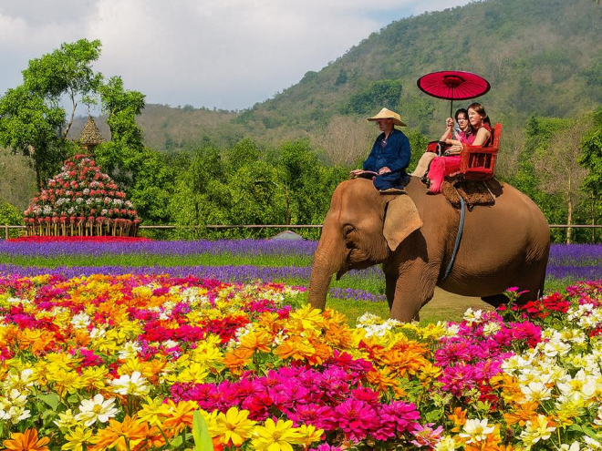 라오스 유명 관광지서 말벌떼 습격으로 미국인 부자 사망 충격