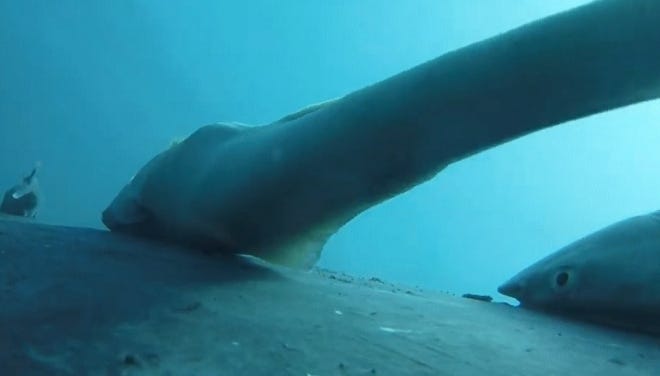 0003589381_001_20251108172309726.jpg?type=w800