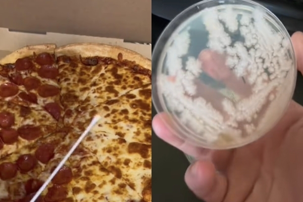 피자 하루 방치 실험 페퍼로니가 더 깨끗하다고?