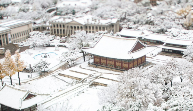 올겨울 <b>첫눈</b>···경기도 오후 6시부터 비상 1단계 가동