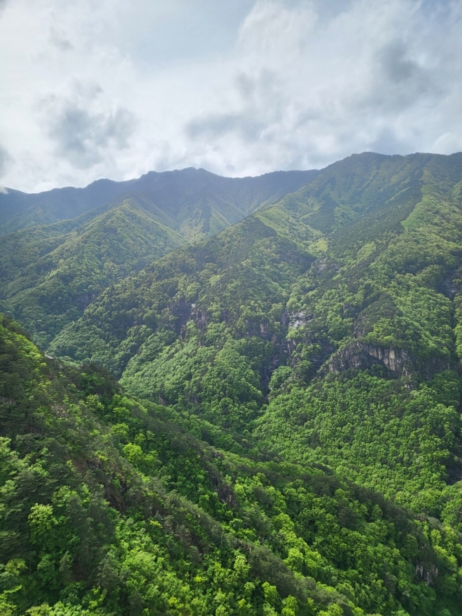 두타산의 입체적인 모습의 풍경