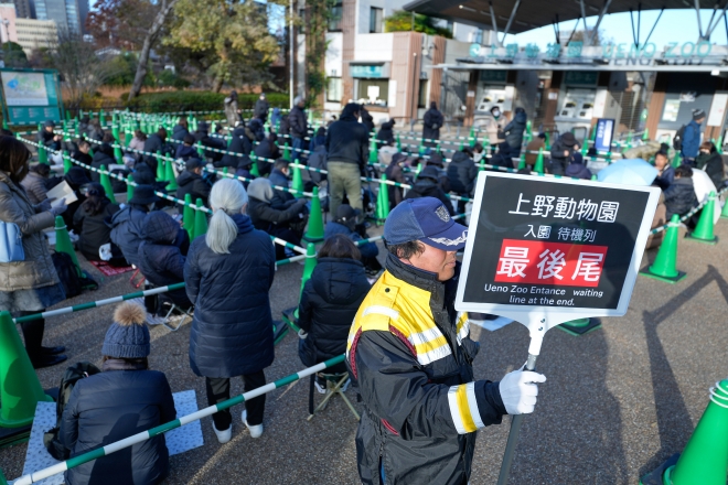 16일 일본 도쿄 다이토구 우에노 동물원 입구에 쌍둥이 자이언트 판다‘샤오샤오’와‘레이레이’를 보려는 관람객들이 돗자리를 바닥에 깔고 앉아 매표 및 입장을 기다리고 있다.2025.12.16 도쿄 AP 뉴시스