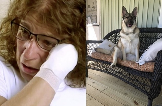 미국 오하이오주에 사는 60세 여성이 강아지와 포옹을 한 뒤 박테리아 감염으로 팔과 다리를 잃은 사연이 전해졌다.더선 캡처