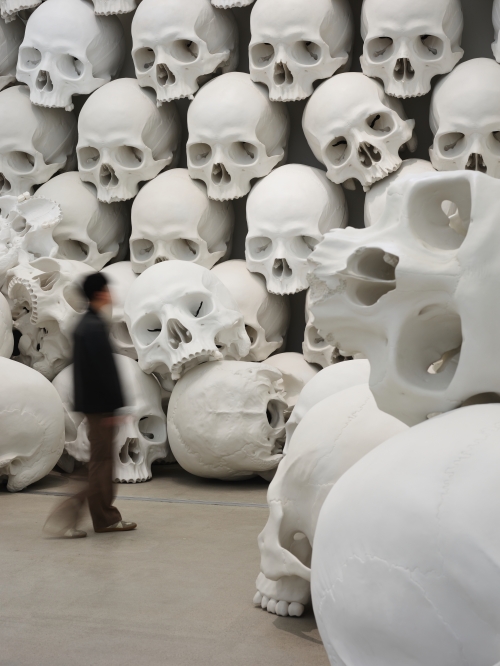 론 뮤익‘매스’를 둘러보는 관람객의 모습.국립현대미술관 서울관의 높은 층고를 활용해 대형 두개골을 쌓고 쏟아져 내리는 듯한 모습을 연출했다.국립현대미술관 제공