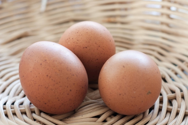 달걀 자료사진.123rf.com