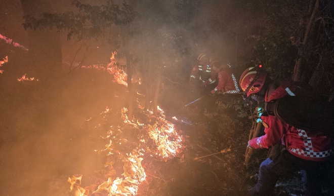 부산 기장군 산불 밤샘 진화 - 21일 부산 기장군 산불 현장에서 산림청 산불특수진화대가 밤샘 진화작업을 펼치고 있다.뉴시스