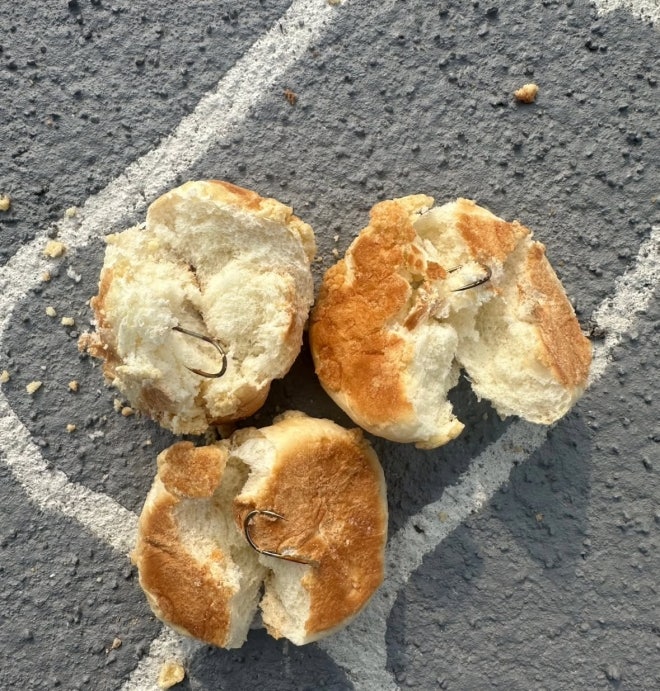 "삼키면 어쩌려고…" 나주 반려견 놀이터에 낚싯바늘 박힌 빵 10개 발견