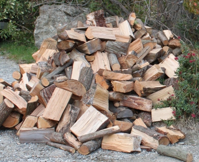 벌목 중 나무 맞은 80대 사망…연휴 맞아 땔감 구하려다 사고