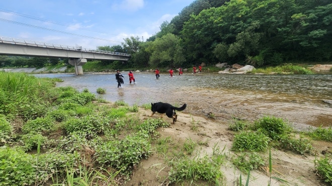 경북 <b>영주</b> 급류 <b>실종</b> <b>70대</b> 추정 시신 발견…수색 8일만