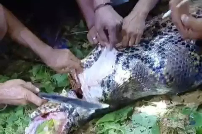 뉴스 이미지
