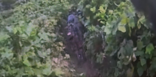 ‘<b>DMZ 폭발</b>’ 현장도 못 봤다