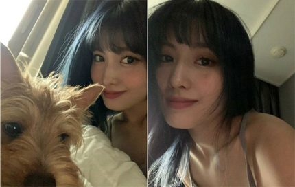 Twiceモモ 愛犬との仲良しな2ショット公開 イチ押し 芸能ニュース ダイヤモンドブログ