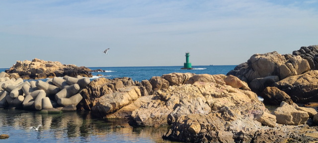 죽성리 해안길에는 눈을 편안하고 즐겁게 하는 바위섬들과 기암들이 점점이 흩어져 있다.
