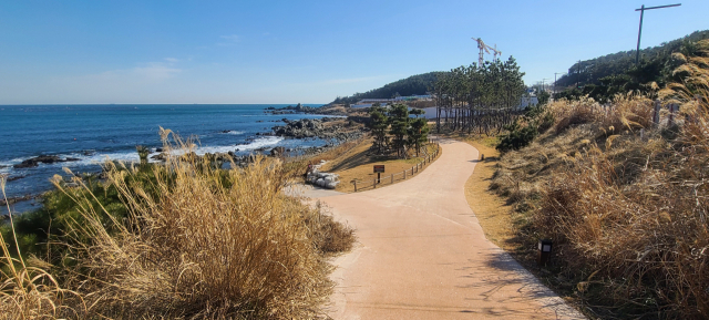 오시리아 해안산책로는 곳곳에 벤치와 쉼터가 있고 아름다운 조경과 바다 풍광이 어우러져 걷기에 더할 나위 없이 좋은 길이다.