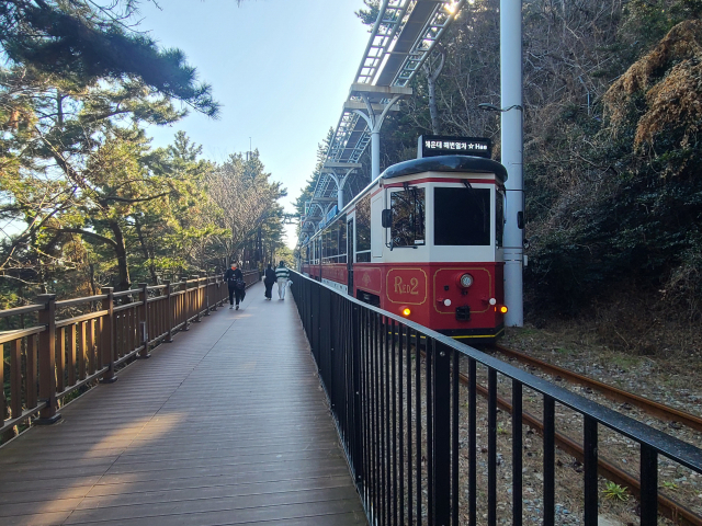 욜로 갈맷길 3코스 ‘블루라인 푸른 모래’는 동해남부선 폐선 철로 옆으로 쭉 이어진 나무 덱길을 걷는 코스여서 10개 코스 중 가장 걷기 편하다. 폐선 철로 위를 달리는 해변 열차와 아름다운 해안가 풍경은 낭만을 전