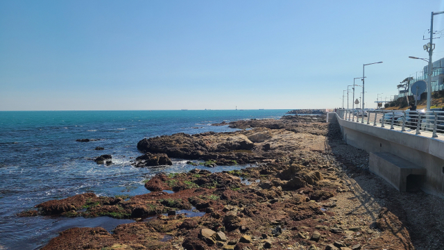 송정해수욕장 끝자락인 구덕포에 닿으면 아름다운 해안가 풍경에 걸음을 멈춘다. 기이하게 생긴 갯바위들이 넓게 펼쳐져 장관을 이룬다.