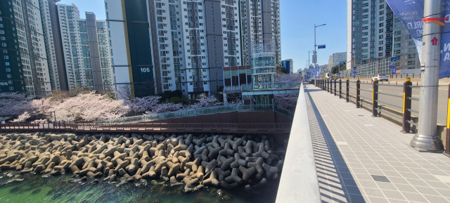 수영2호교(민락교)의 민락동 끝지점에 설치된 엘리베이터와 무장애 덱길. 지난해 공사가 완료돼 수영2호교와 수영강변 덱길을 연결해 준다.