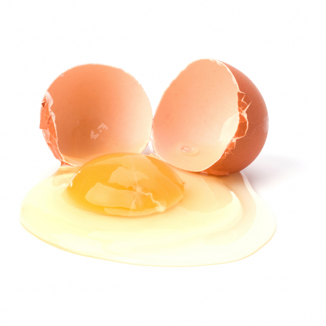 0001208707_001_20230422150101149.jpg?typ