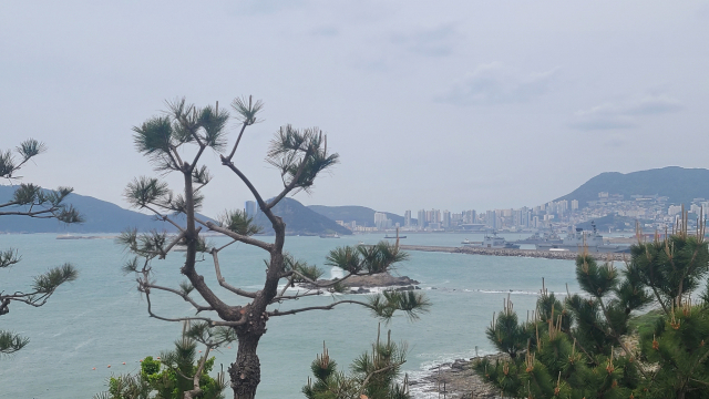 오륙도 스카이워크에 오르면 부산항 북항 재개발 지역과 영도 등 부산의 원도심도 조망할 수 있다.