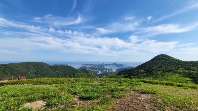 욜로 갈맷길 8코스 ‘낙동정맥 끝자락 순례’는 낙동정맥의 끝자락에 있는 구덕산과 억새·철쭉이 봄가을 아름다움을 뽐내는 승학산의 등성이를 걷는 산행 길이다. 승학산 능선 사면에 있는 철쭉 단지와 억새군락지 사이로 걷다